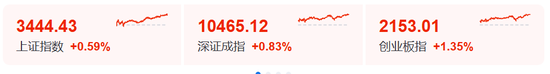 利好！全线大涨！